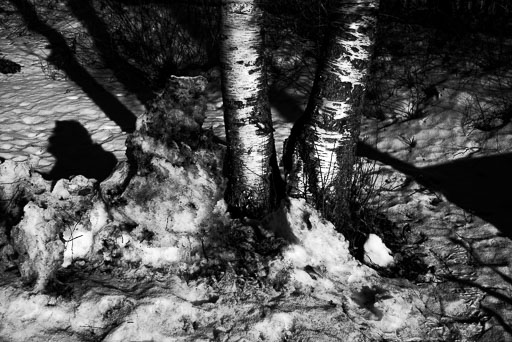 20250211---12;48;28-Bw-K1__2830_.jpg
