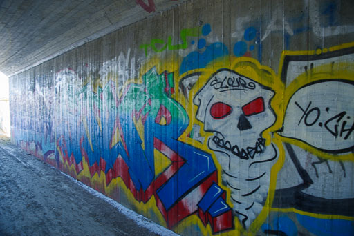 K1__3541.jpg