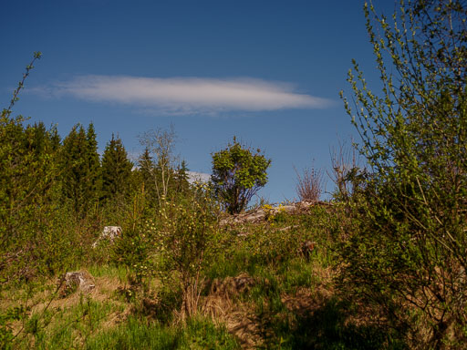 _IMG5065.jpg