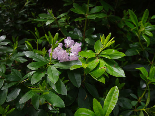 K1__4625.jpg