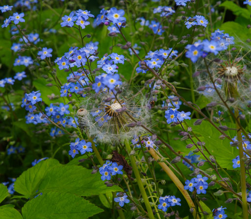 _IMG5448.jpg
