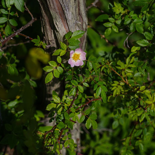 _IMG5907.jpg