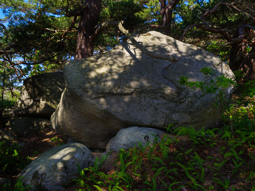 _IMG5908.jpg