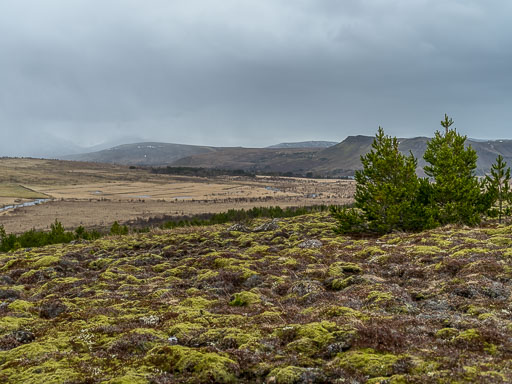 Gengið um grundir 31. Mars 2025
 Hero