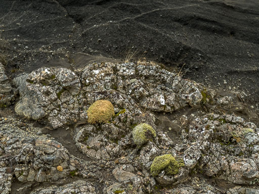 Ekið um víðan völl 3.Apríl 2025
 Hero