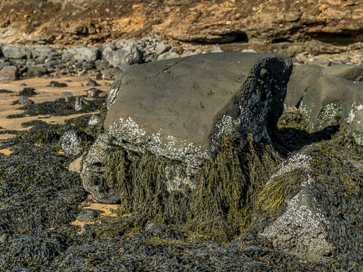 Nauthólsvík 29. mars 2025
 Hero