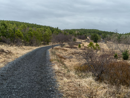 Gengið um grundir 31. Mars 2025
 Hero