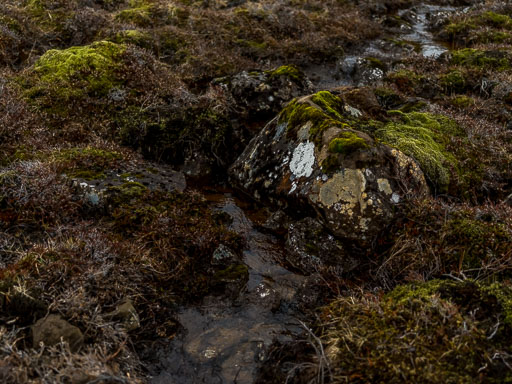 Gengið um grundir 31. Mars 2025
 Hero