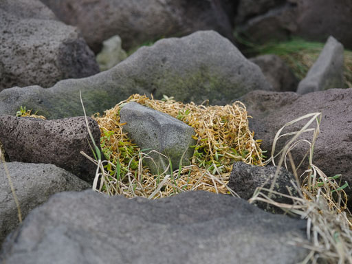 27. oktober 2025
 Hero