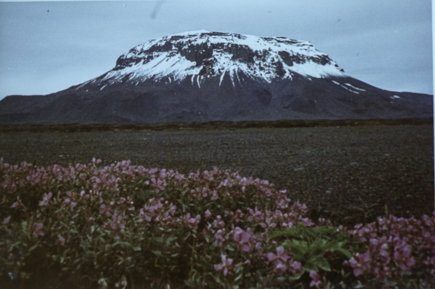 _IMG0856.jpg _IMG0856.jpg