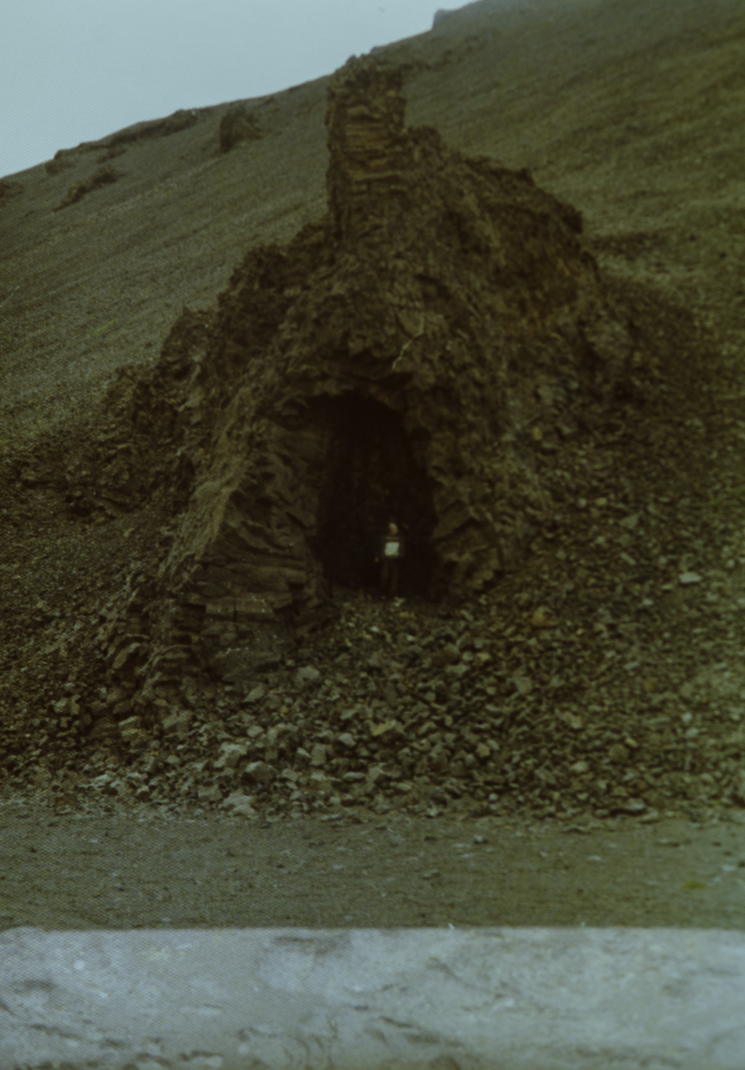 _IMG0857.jpg _IMG0857.jpg