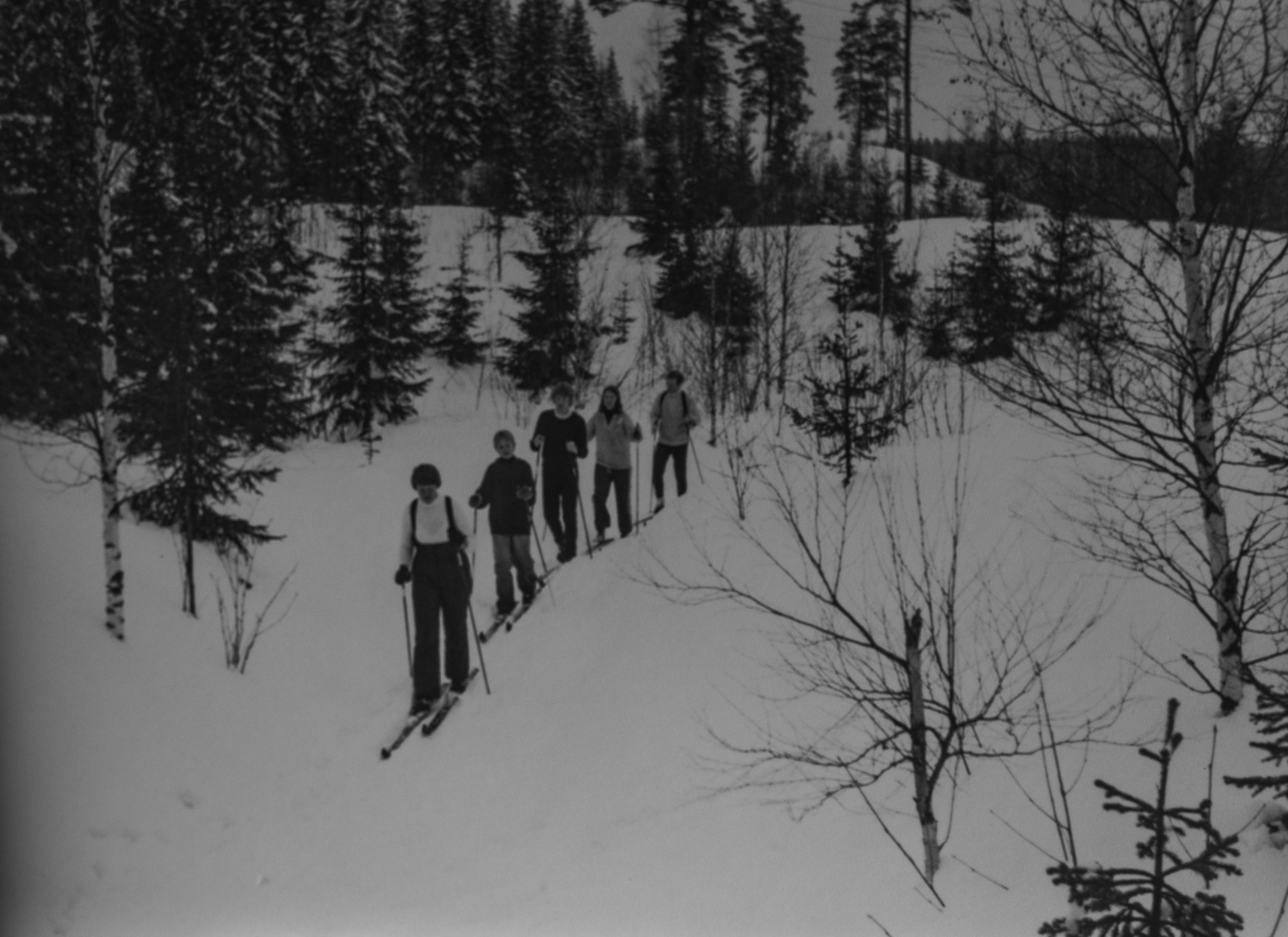 _IMG1511.jpg _IMG1511.jpg