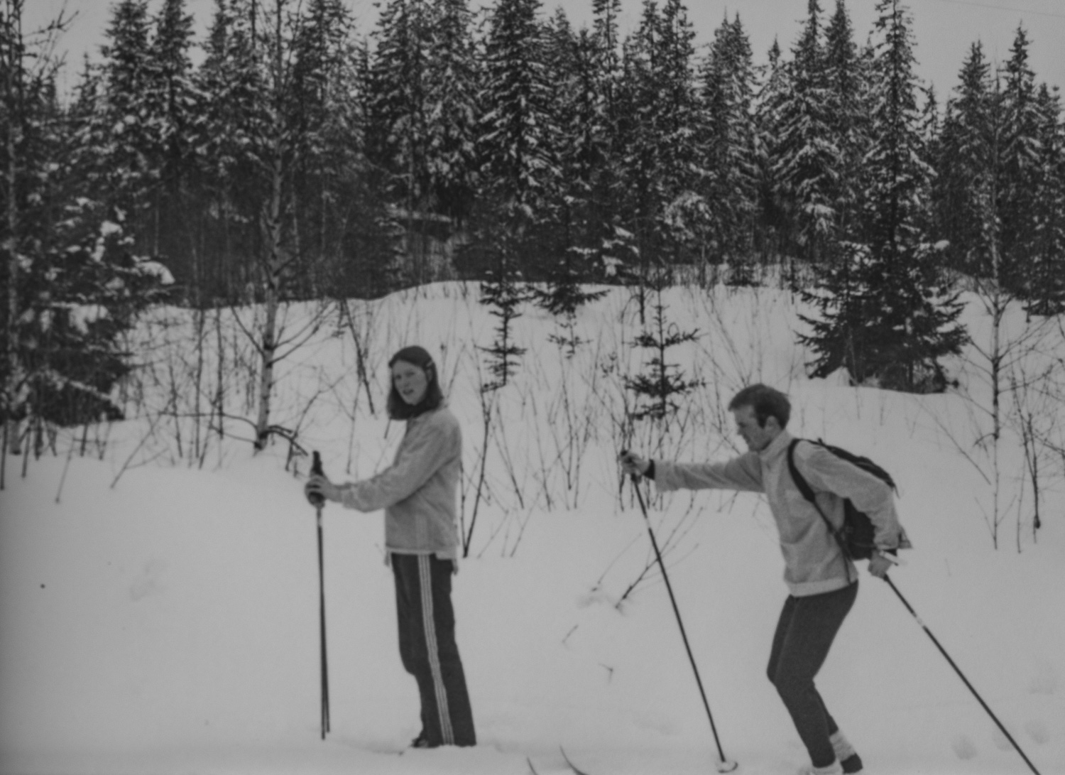 _IMG1514.jpg _IMG1514.jpg