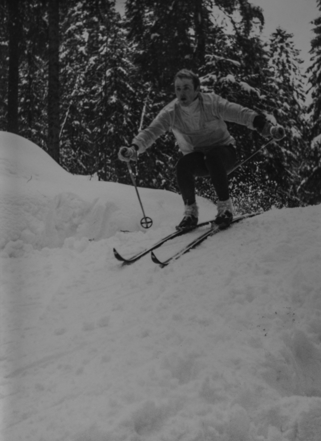 _IMG1516.jpg _IMG1516.jpg