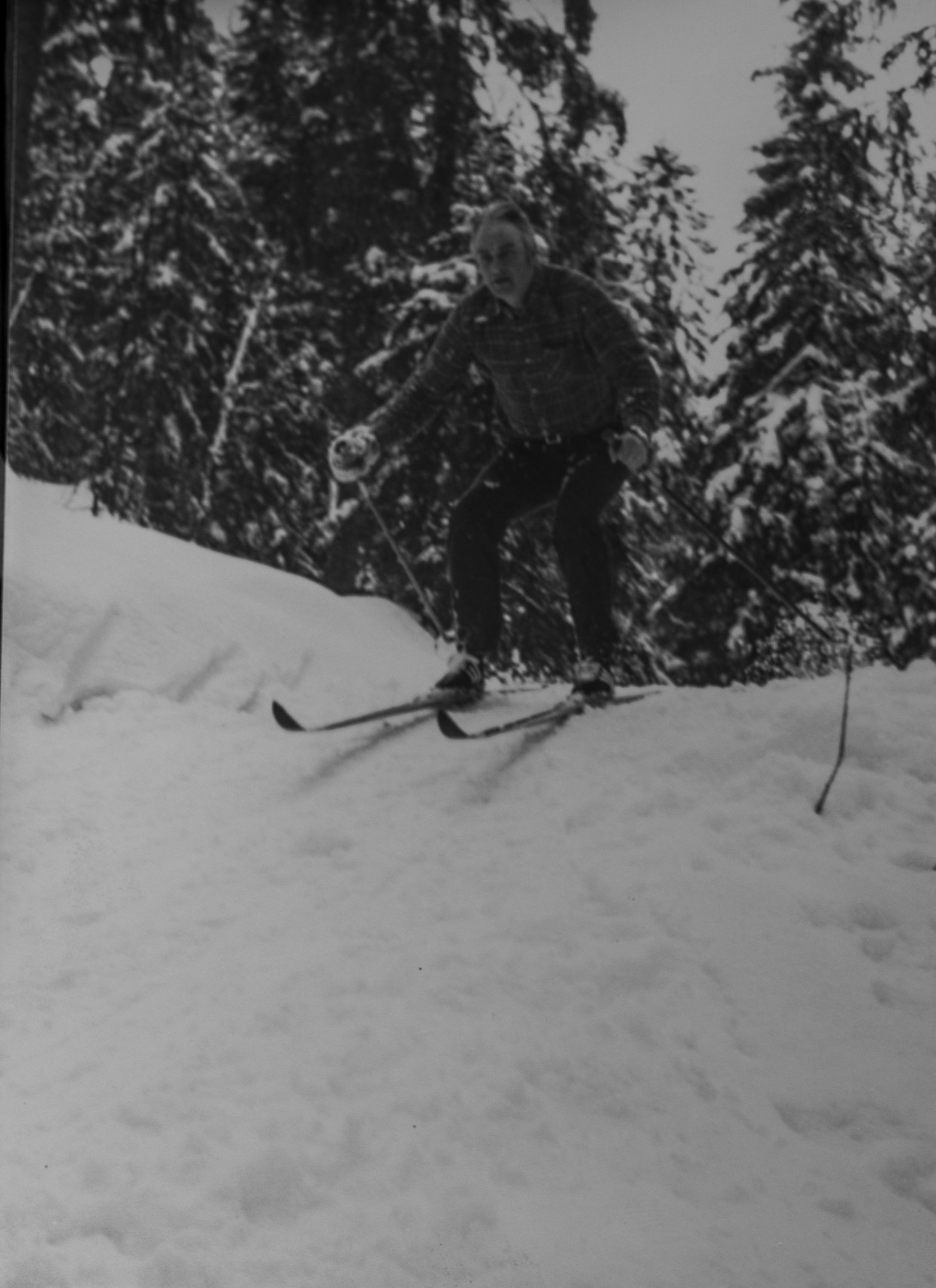 _IMG1517.jpg _IMG1517.jpg