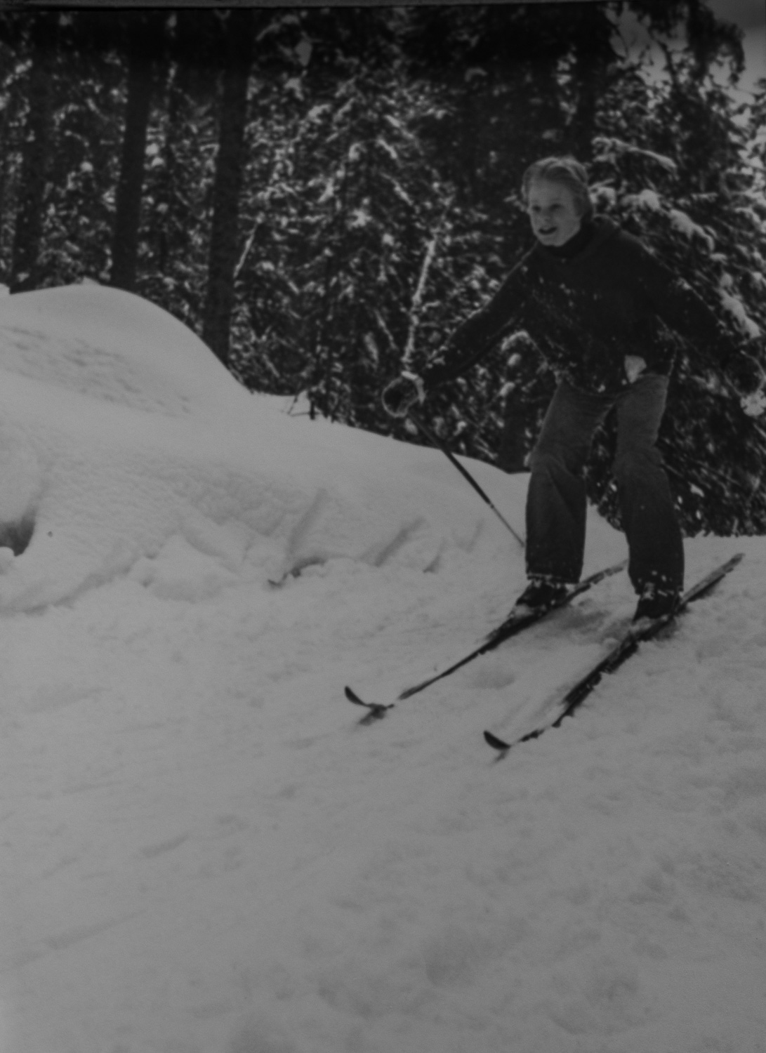 _IMG1518.jpg _IMG1518.jpg