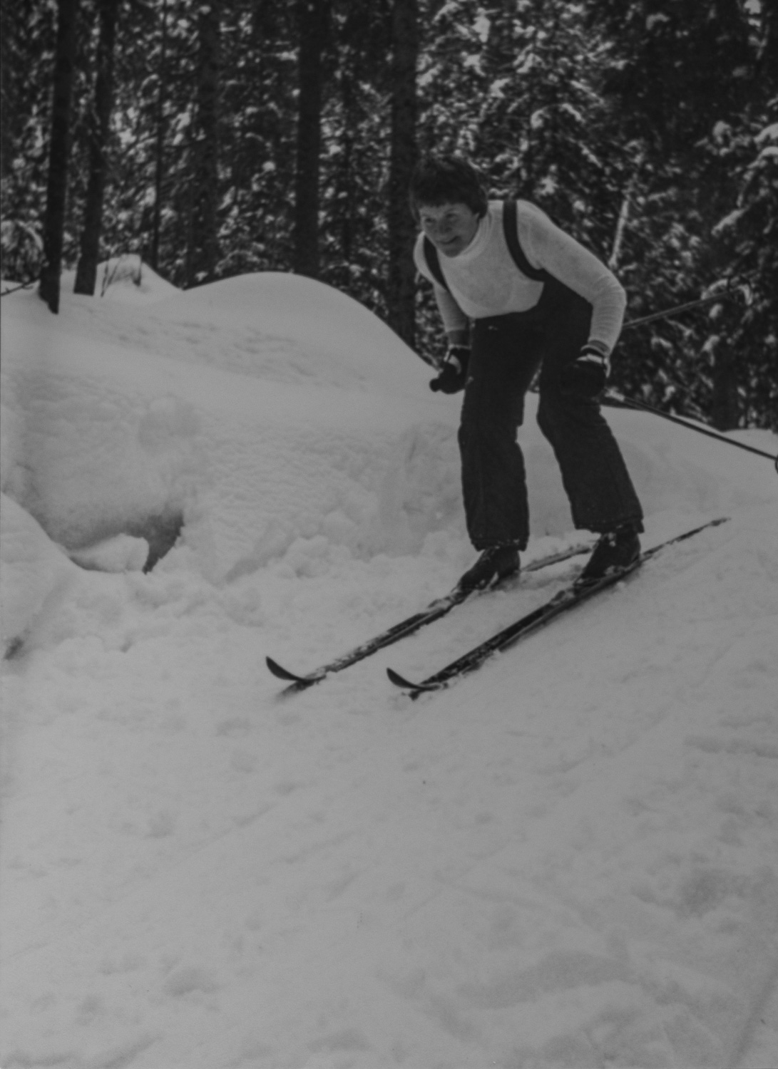 _IMG1519.jpg _IMG1519.jpg