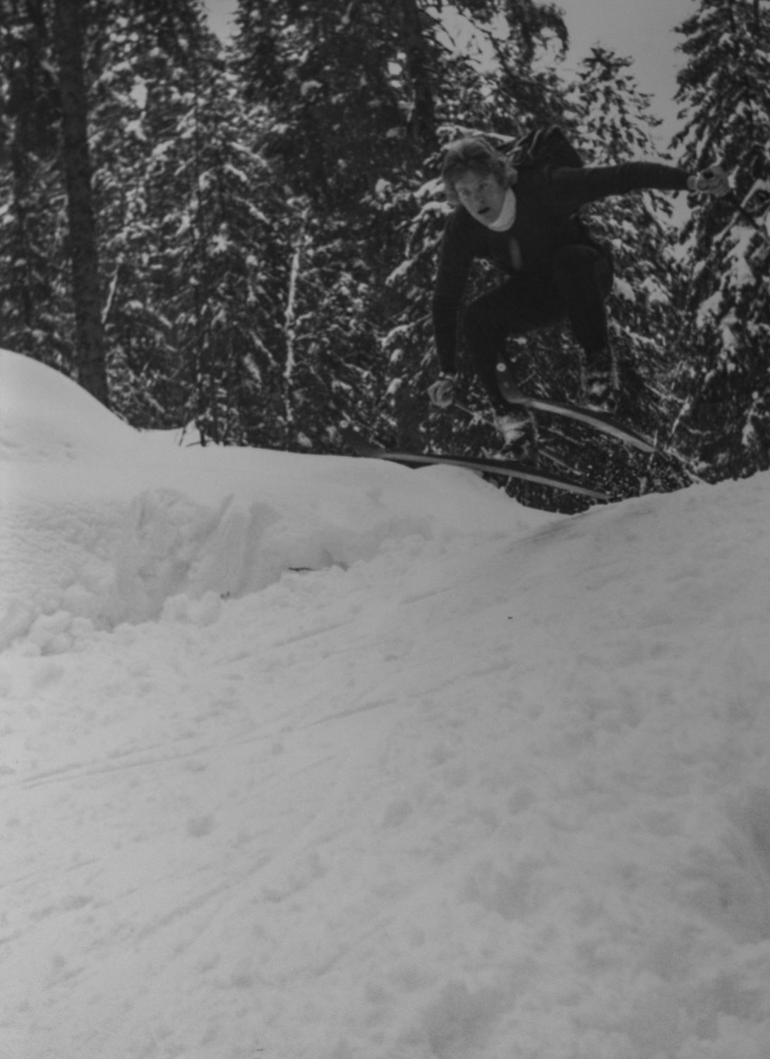 _IMG1520.jpg _IMG1520.jpg