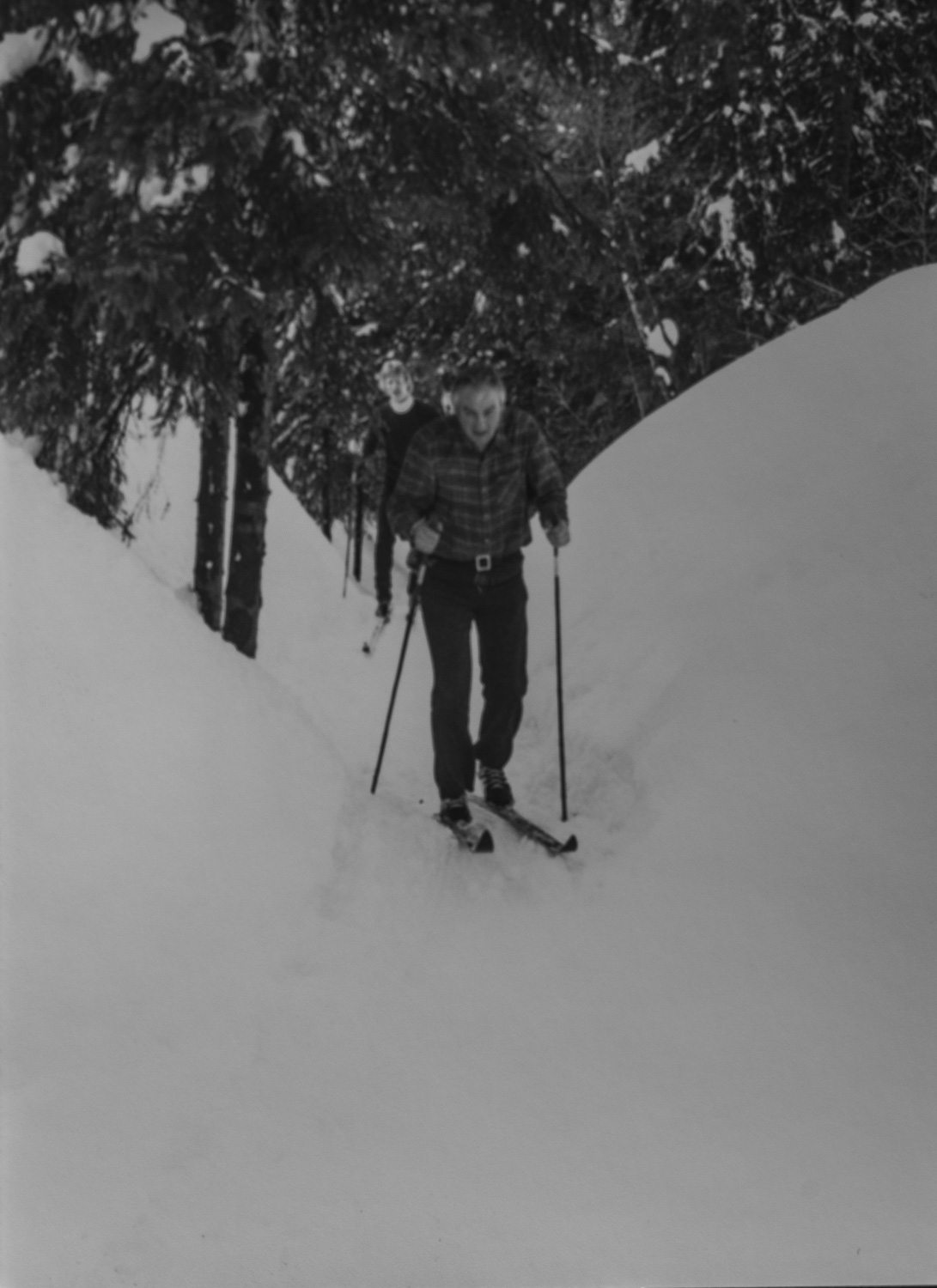 _IMG1524.jpg _IMG1524.jpg