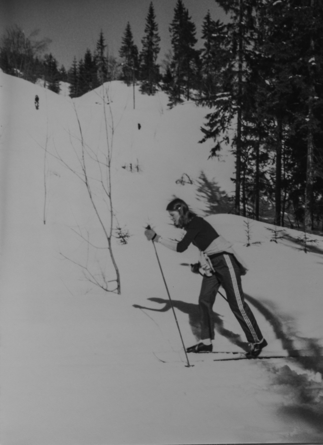 _IMG1527.jpg _IMG1527.jpg
