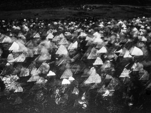 _IMG0729.jpg