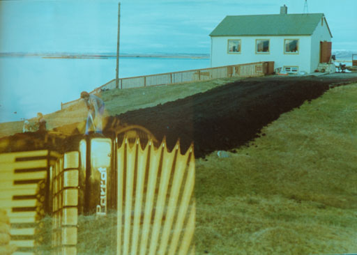 _IMG0831.jpg