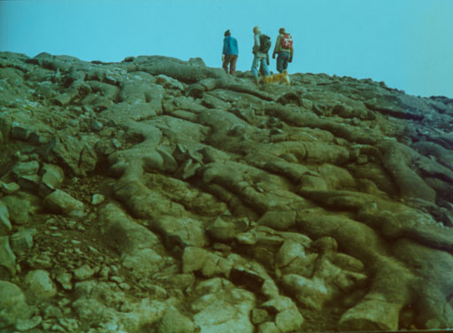 _IMG0847.jpg
