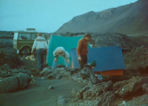 _IMG0854.jpg