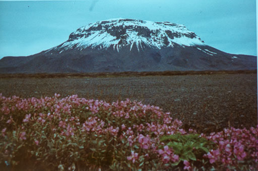 _IMG0856.jpg