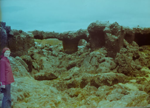 _IMG0858.jpg