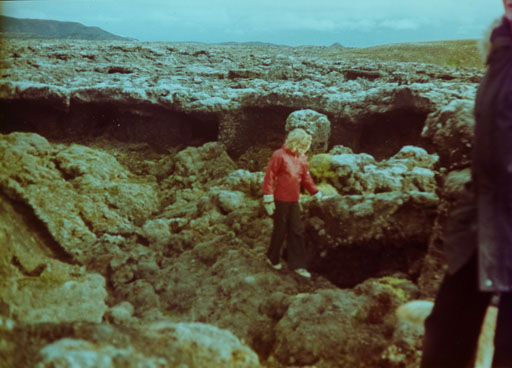 _IMG0860.jpg