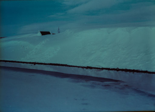 _IMG0864.jpg