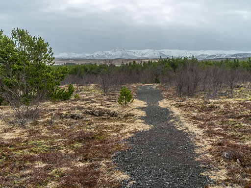 IMG_3874.jpg