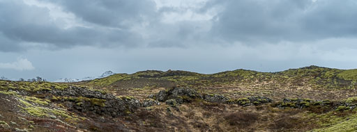 IMG_3933.jpg
