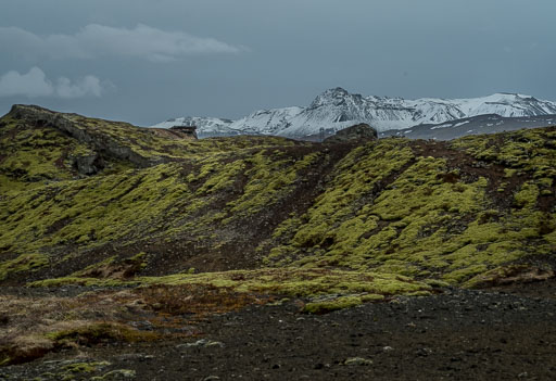 IMG_3958.jpg