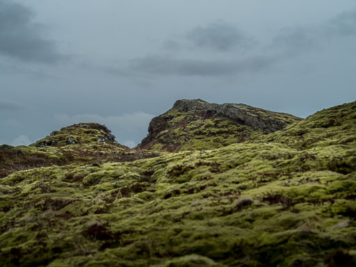 IMG_3966.jpg