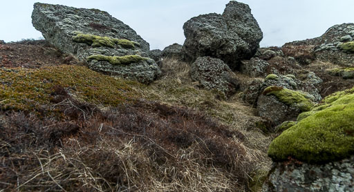 IMG_4004.jpg