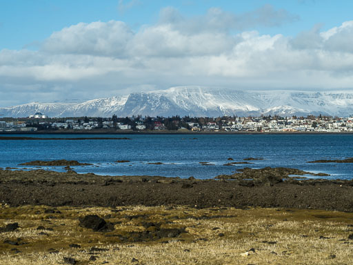 IMG_4098.jpg