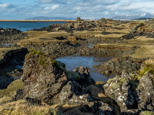 IMG_4186.jpg