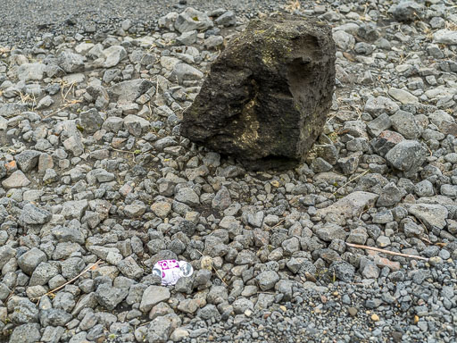 IMG_4277.jpg