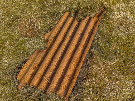 IMG_4351.jpg