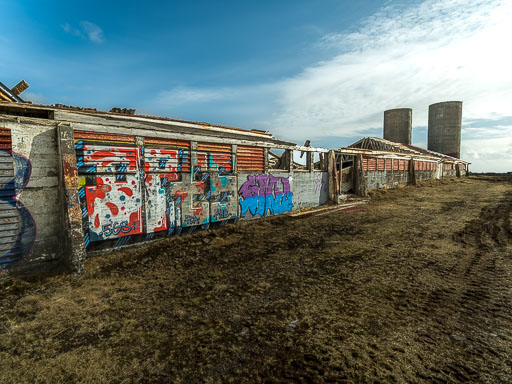 IMG_4364.jpg