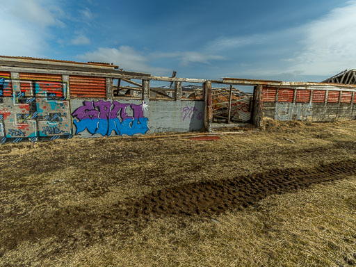 IMG_4366.jpg