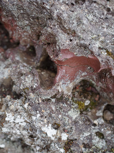 IMG_4404.jpg