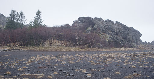 IMG_4447.jpg