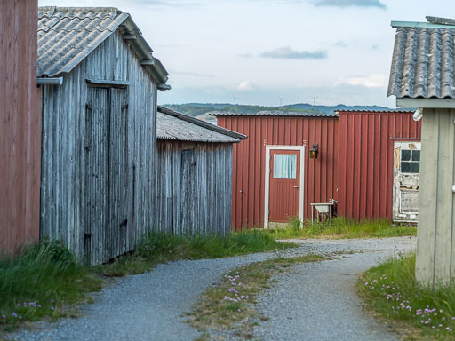 _IMG5259.jpg