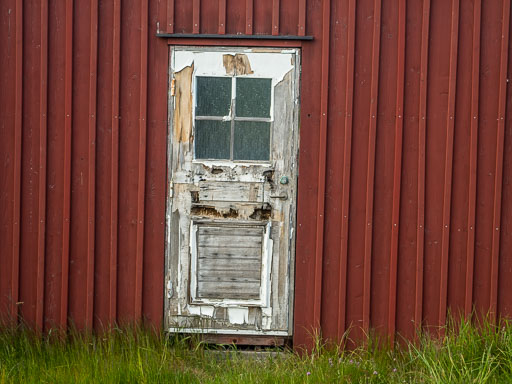 _IMG5261.jpg
