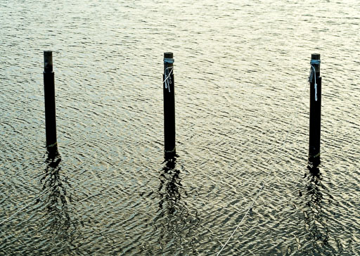 _IMG5268.jpg