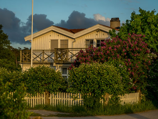 _IMG5286.jpg