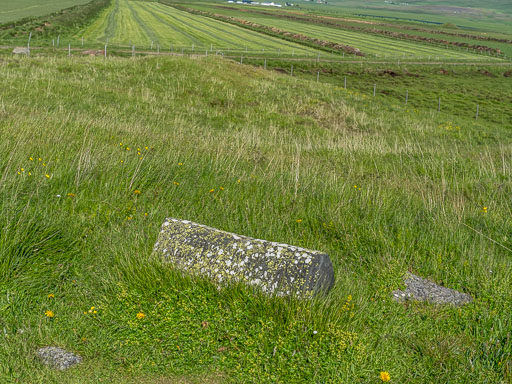 DSCF2531.jpg